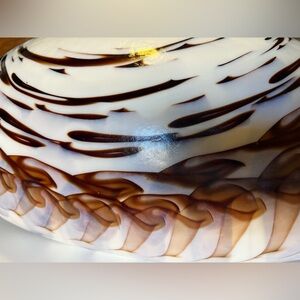Murano Glass X-large 20” Seashell Folded Bowl Iridescent Nautilus Center
